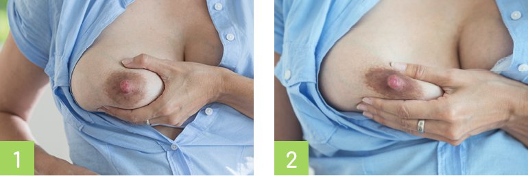 Ardo_Holding_Breast.jpg